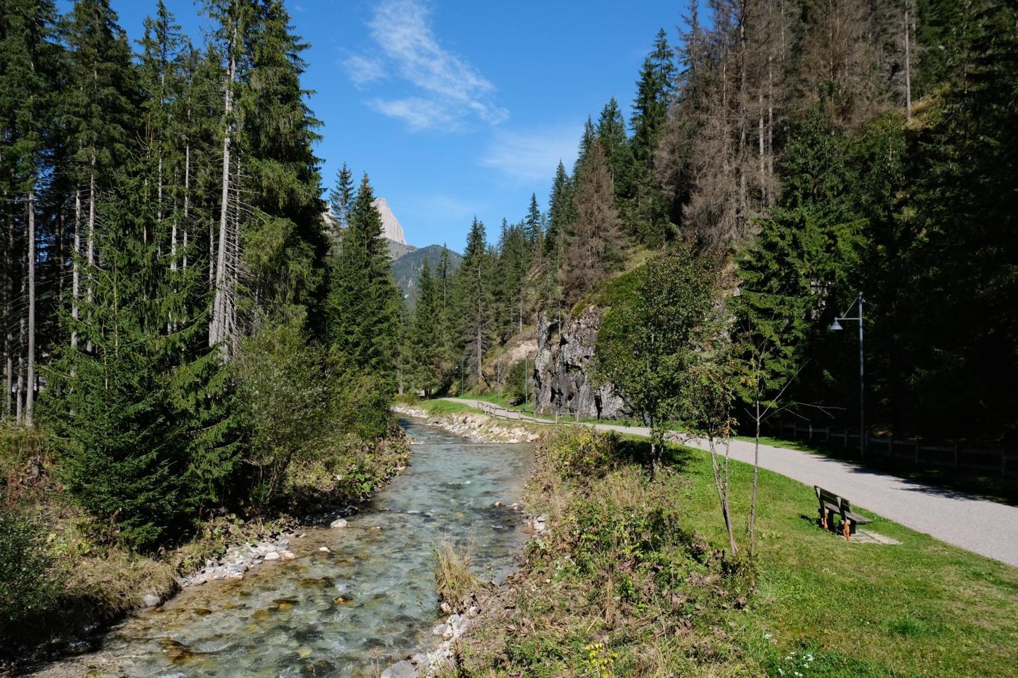 Cesa Sot Bosch Daire Canazei Dış mekan fotoğraf